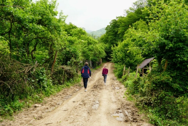 Park Narodowy Dilidżan