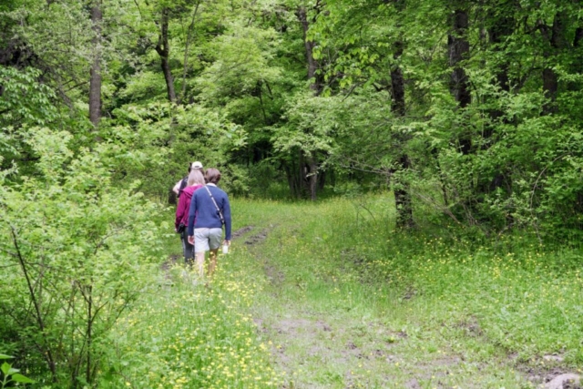 Droga do Matosavank Monastery