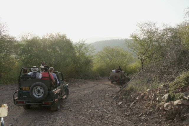 GMD07195